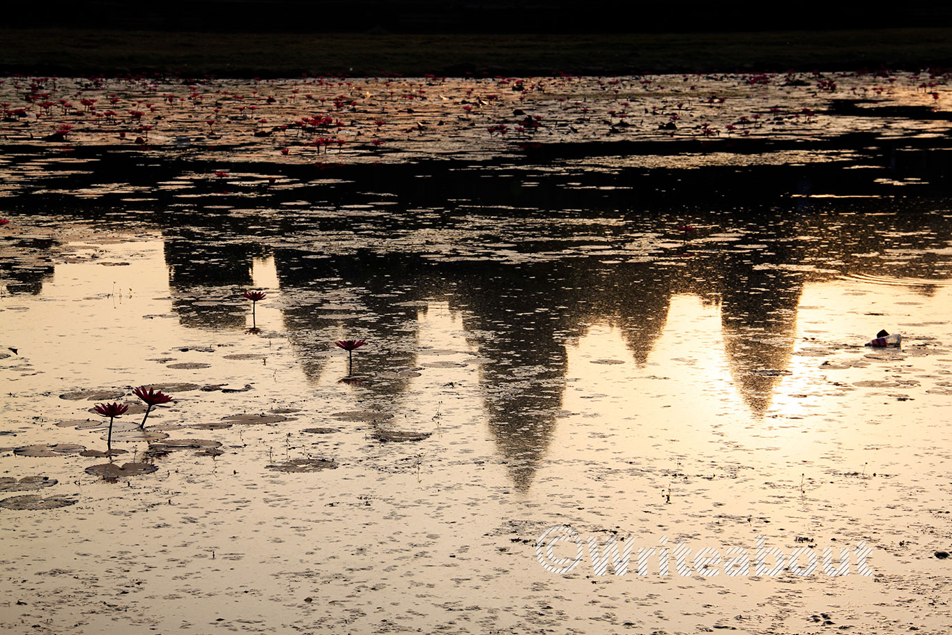 Reflection of Angkor Wat