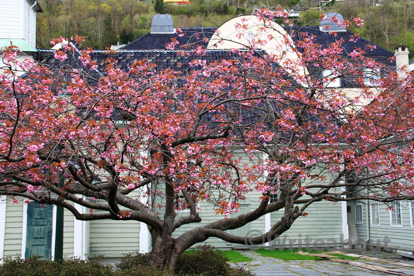 St. Jørgens Hospital